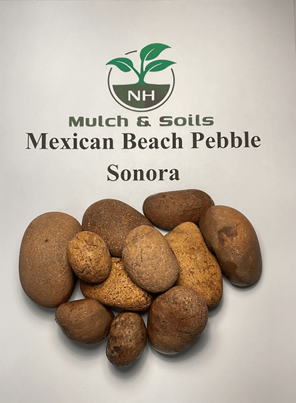 Mex Bech Peb Sonora Photo